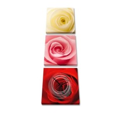 3-dielny obraz s hodinami, Ruže, 35x105cm