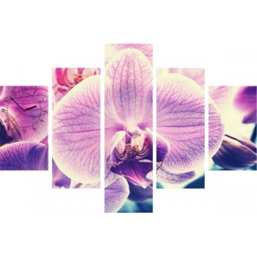5-dielny obraz s hodinami, Orchidea, 100x70cm